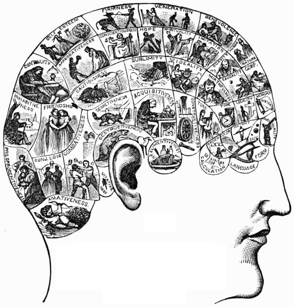phrenology_chart